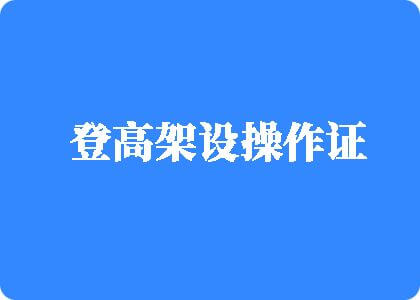 大鸡巴操逼视频韩日登高架设操作证